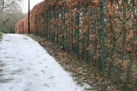 foto's maken in de sneeuw