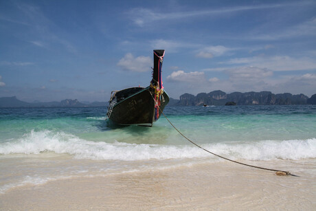 Longtail in the sea