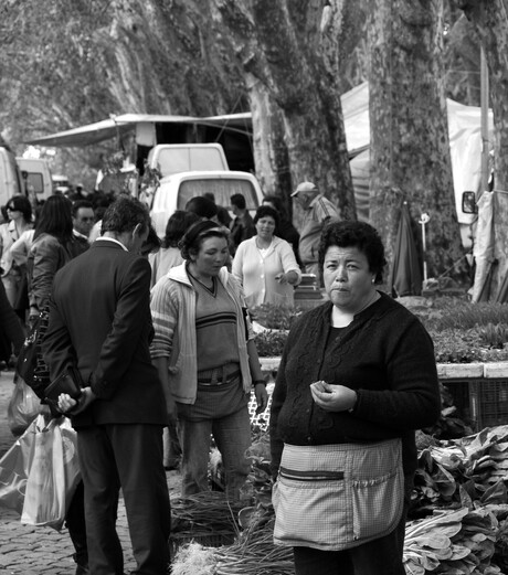 Ponte de Lima, markt