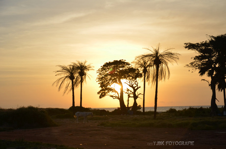 The African sundown..