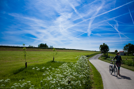 Langs de dijk