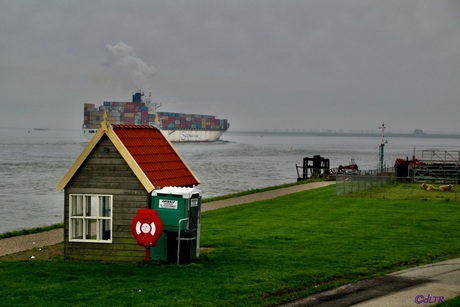 Zeeuws-Vlaanderen