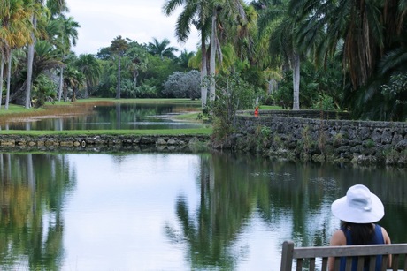 Meditatie in de natuur