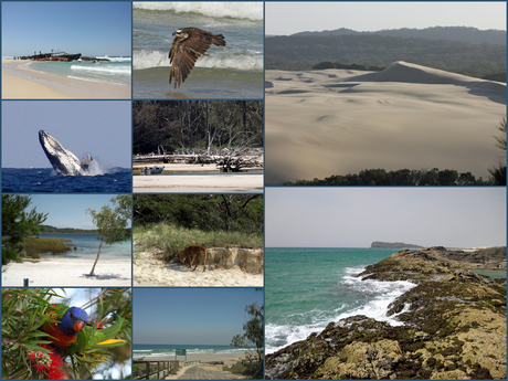 Fraser Island