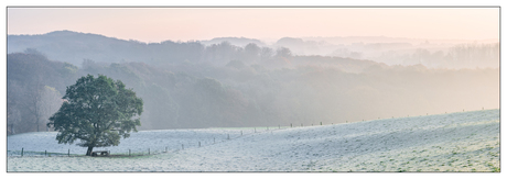 Eenvoud en zijn pracht van de natuur