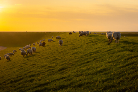 Op de dijk.