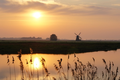 ZELFDE Molen 4