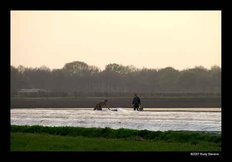 Buitenlandse arbeiders 2