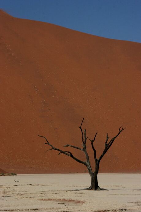 Sossusvlei Namibië