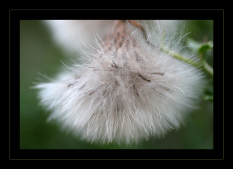 Wachten op wind