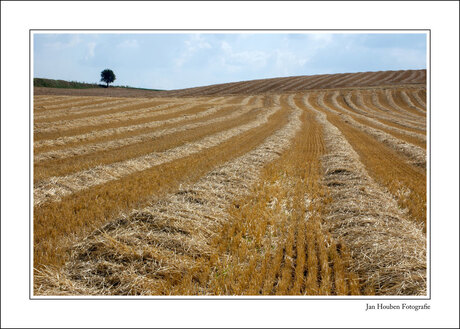 Sittard - Kollenberg