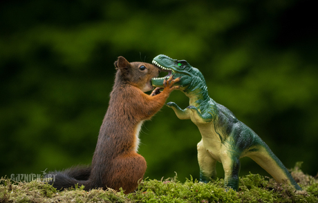 Squirrel Vs T-Rex