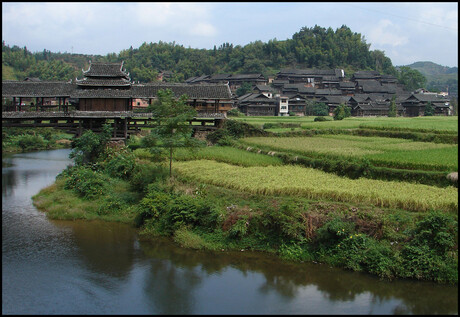 Rijstvelden in China