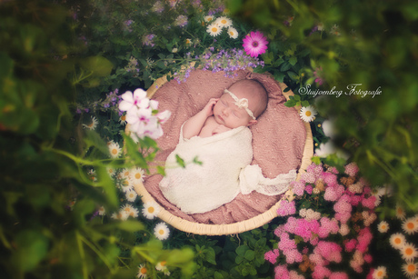 Newborn bloemenmeisje