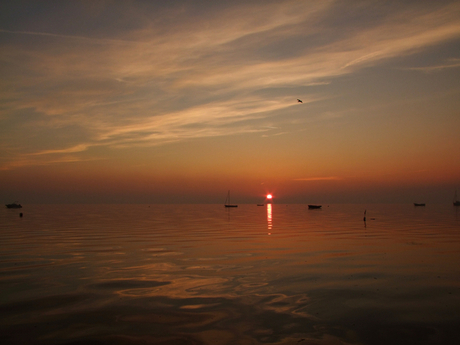 Zonnig Zomers (2)