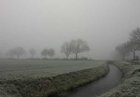 Drenthe in de winterse mist