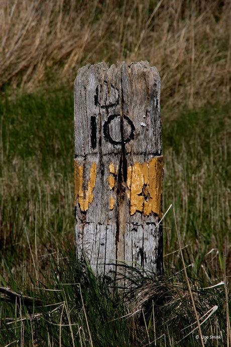 Schiermonnikoog, oude strandpaal