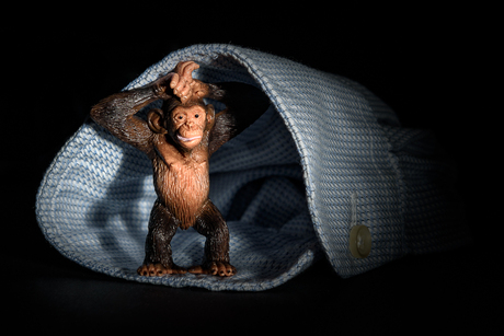 De aap komt uit de mouw