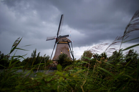 Early Autumn Windmill_