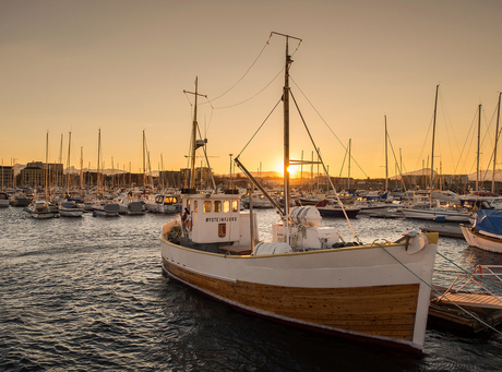 Harbour sunrise