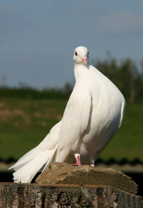 Ben ik niet heel erg mooi