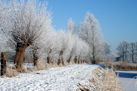 Winter in Rijssen