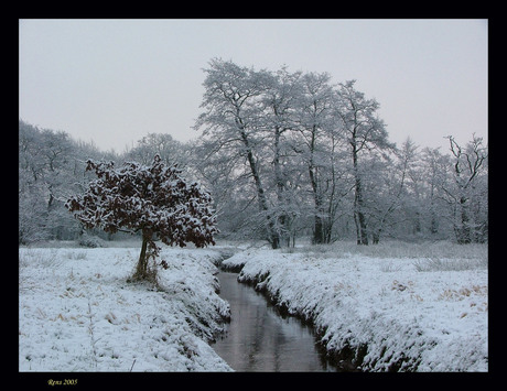 Winter in Drenthe