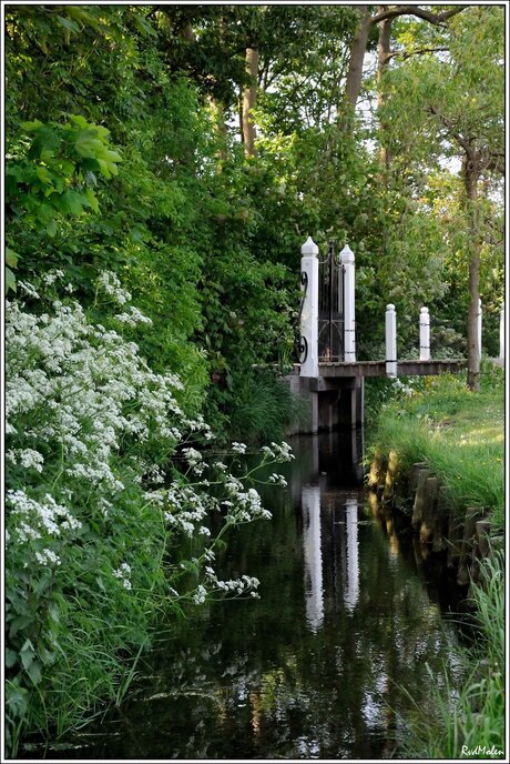 Straatje in Marken