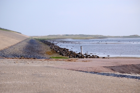 Het wad.