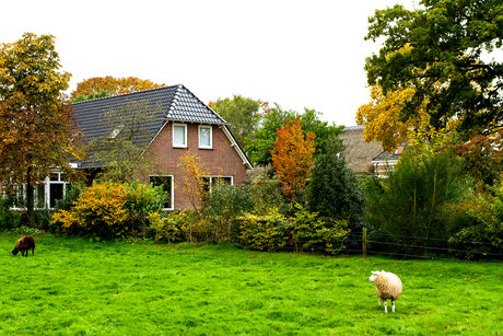 Herfst op het platteland.