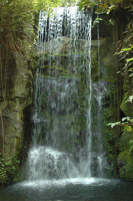 Waterval Burgers Bush