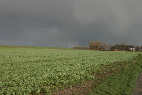 Coenraadpolder (Oost-Groningen)