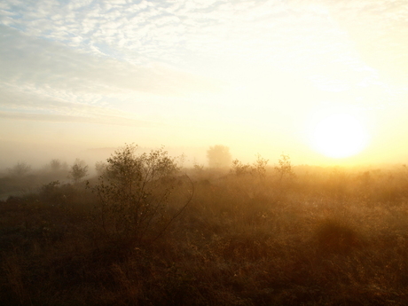 ochtendzon prikt door de mist