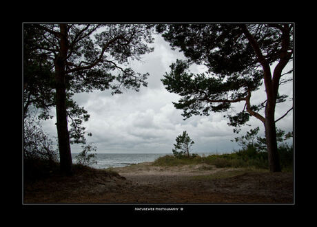 Doorkijk op Rügen