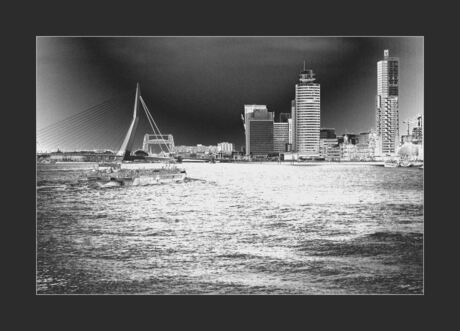 Rotterdam in black and chrome