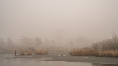 Mist aan de Maat