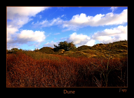 Dune