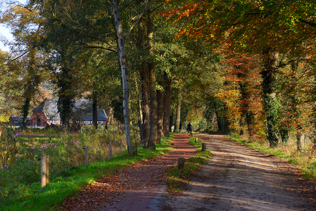 DSC_8989 Genieten van de Twentse natuur.