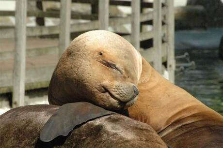 Lekker genieten in de zon.