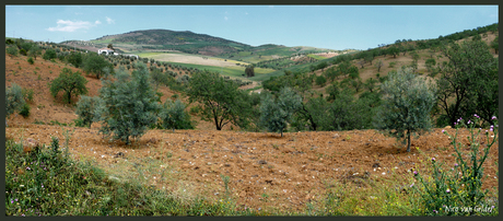 Panorama in Midden Spanje