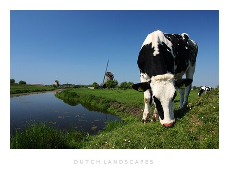 hollands landschap