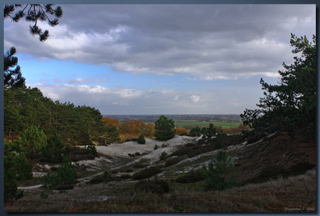 Duinzicht Schoorlse Duinen