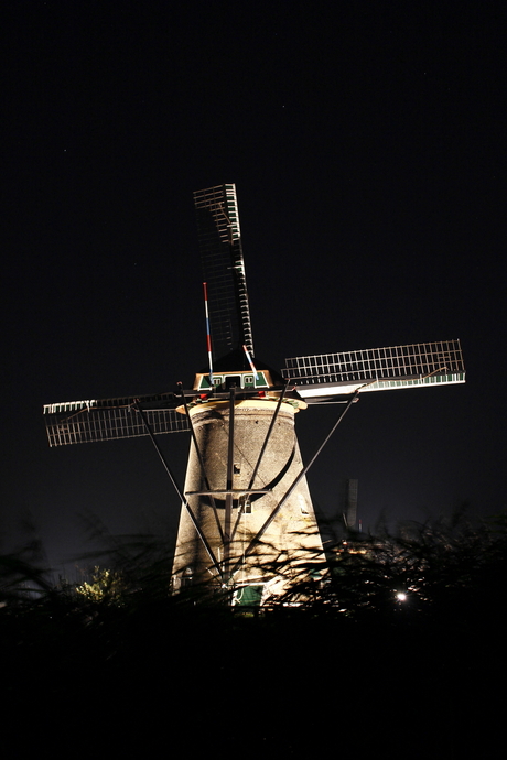 Spotlights op Kinderdijk