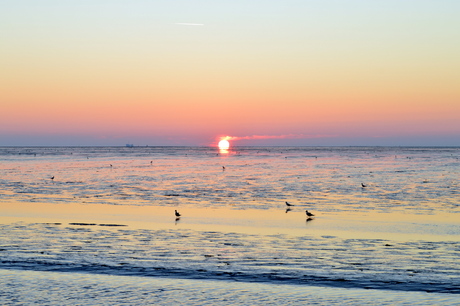 Sunset waddengebied