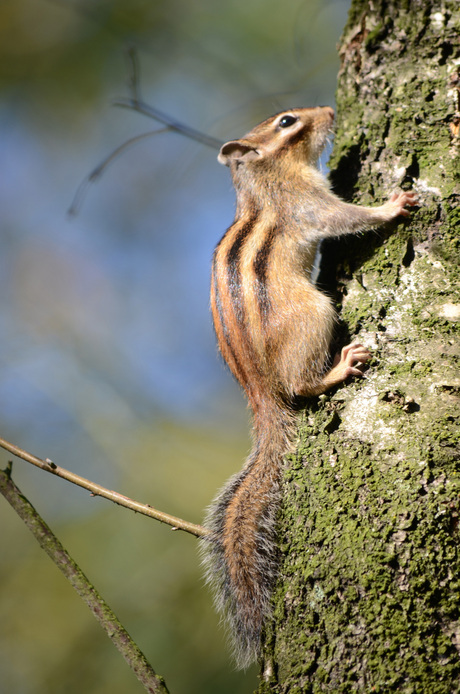 Opweg naar de Top..!!
