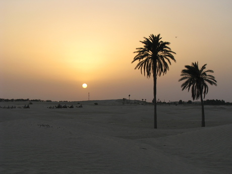 Zonsondergang in de Sahara