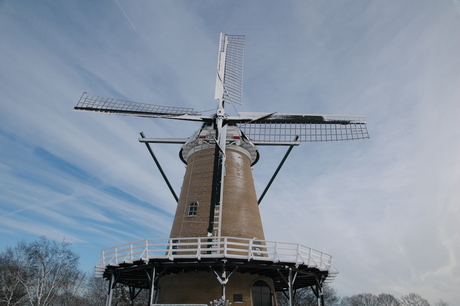 Molen in de sneeuw
