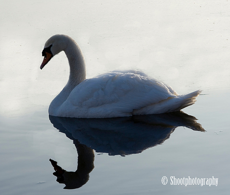 spiegeltje spiegetje