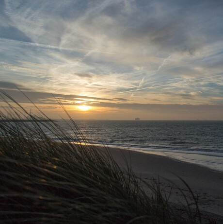 Zonsopgang Schelde