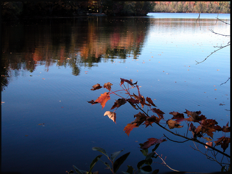 Authum in Maine